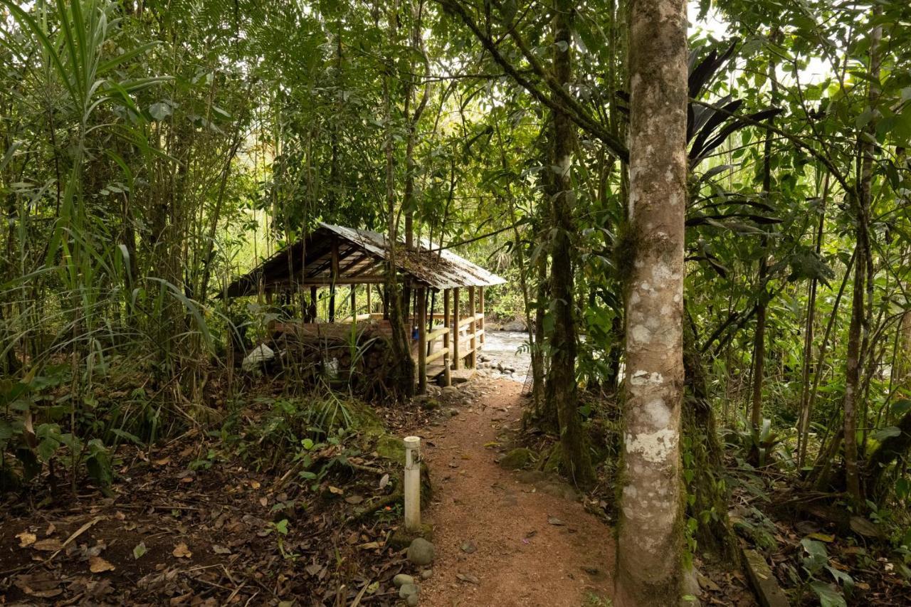 River Song'S Hotel ميندو المظهر الخارجي الصورة